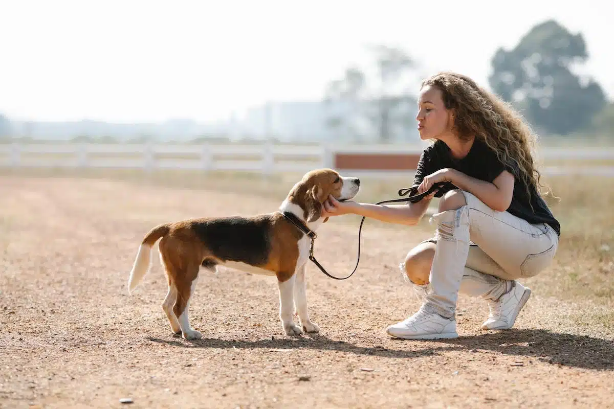 chien  sport