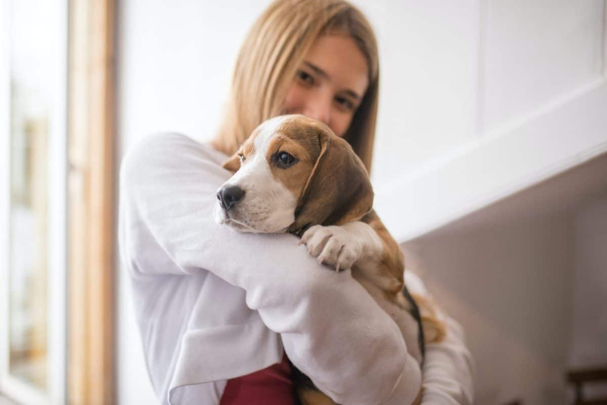 Les meilleures idées de noms de chien