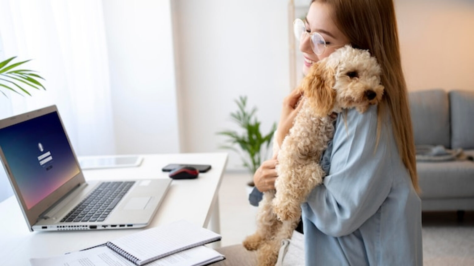 Assurance animaux : pourquoi si peu de Français franchissent le pas ?