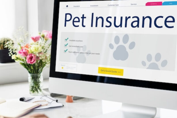 Assurance animaux : pourquoi souscrire dès aujourd’hui ?