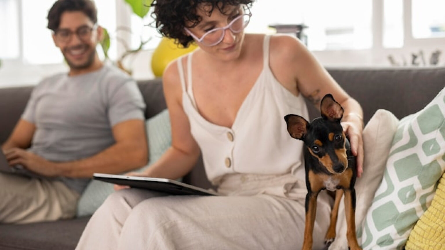 Assurance chien pas chère : comment trouver la meilleure offre ?