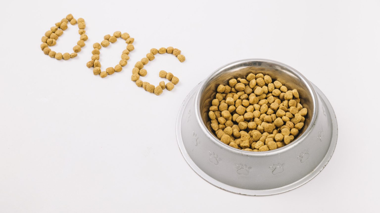 Comment choisir un abonnement croquettes chien adapté à son compagnon ?