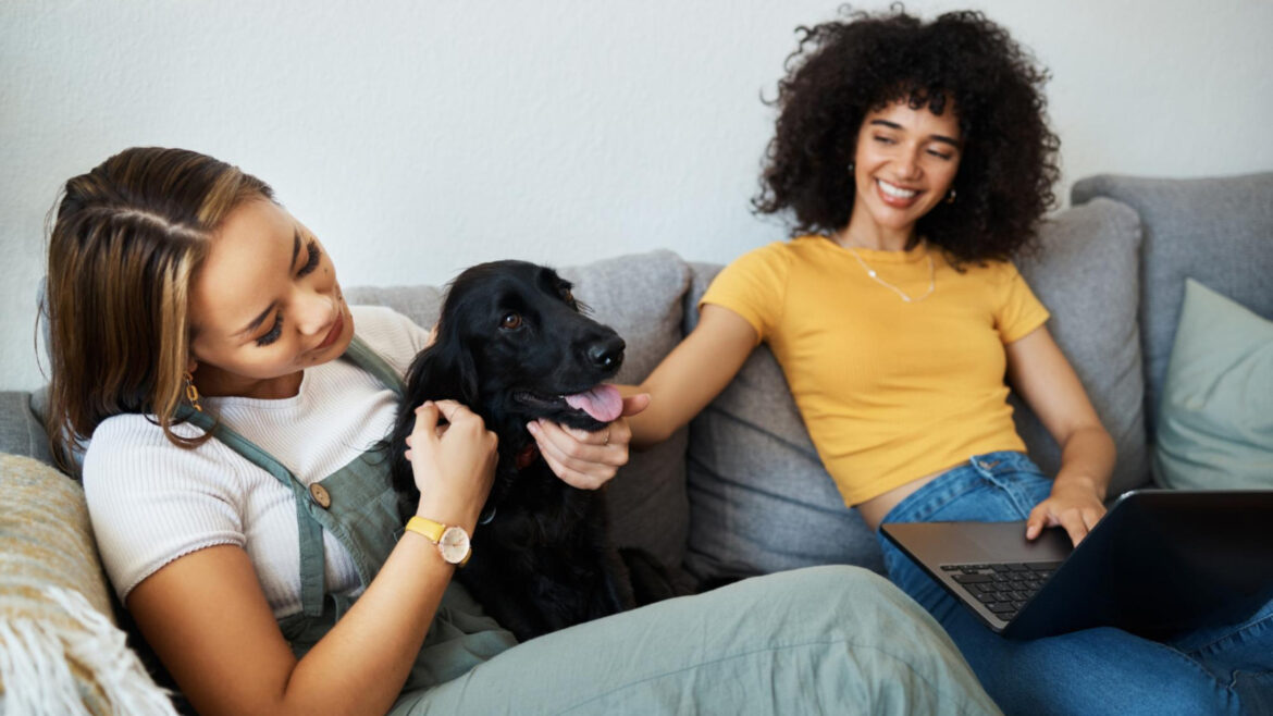 Conseils pour bien assurer votre chien