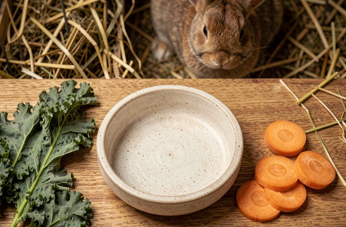 Gamelle vide de lapin entourée de légumes non consommés posés sur une surface en bois avec un lapin flou en arrière-plan