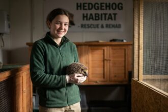 Jeune fille avec un hérisson dans un centre animalier