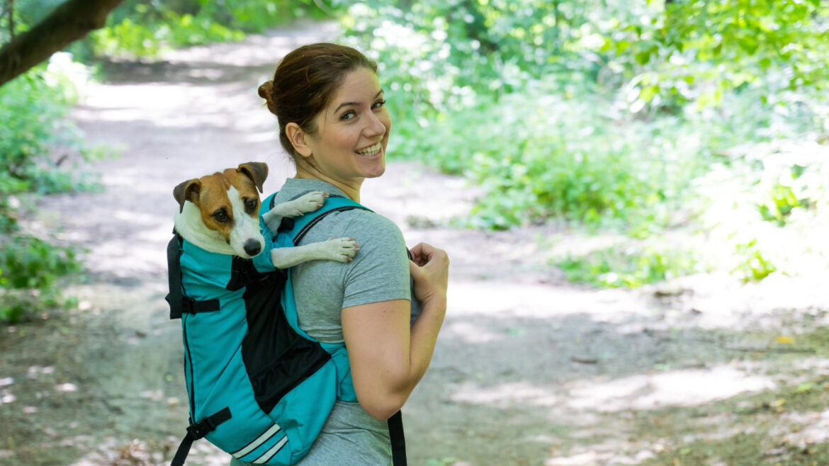 Les sacs à dos pour chiens : un accessoire pratique pour les randonnées