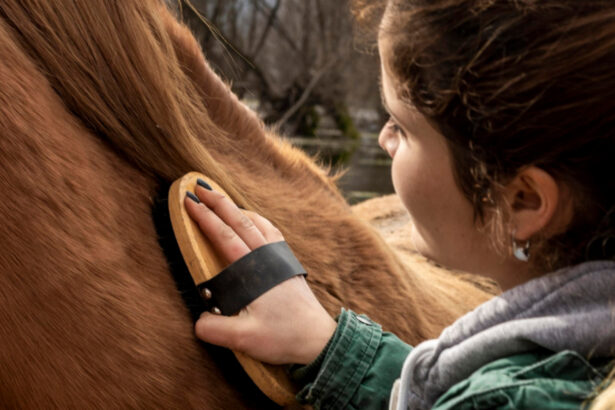 Pourquoi choisir calovet pour la santé de vos chevaux ?