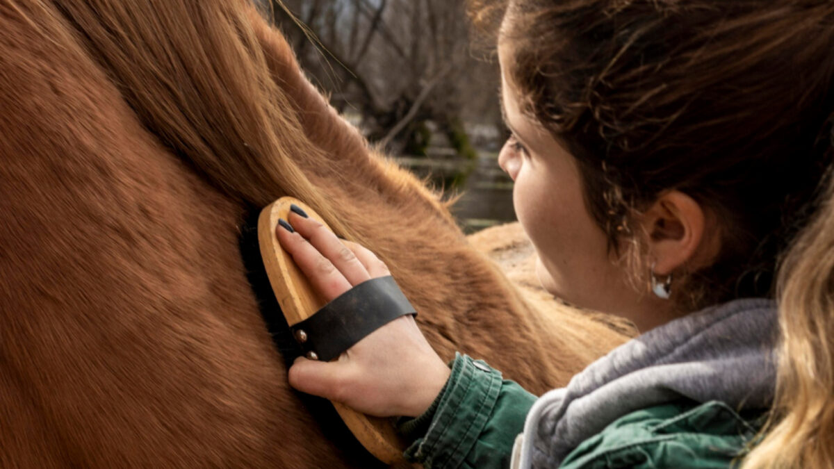 Pourquoi choisir calovet pour la santé de vos chevaux ?